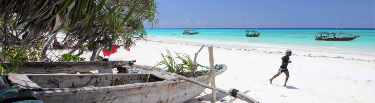 Zanzibar (Jorge Cancela)  [flickr.com]  CC BY 
Informazioni sulla licenza disponibili sotto 'Prova delle fonti di immagine'